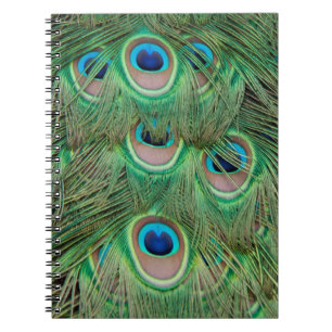 Peacock plumage notitieboek