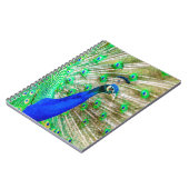 Peacock Plumage Notitieboek (Linkerzijde)