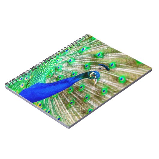 Peacock Plumage Notitieboek (Linkerzijde)