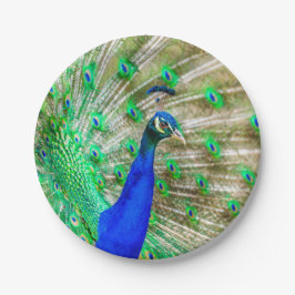 Peacock Plumage Papieren Bordje