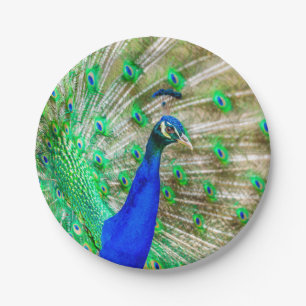 Peacock Plumage Papieren Bordje