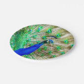 Peacock Plumage Papieren Bordje (Gekanteld)