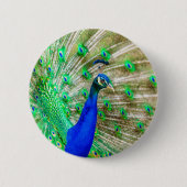 Peacock Plumage Ronde Button 5,7 Cm (Voorkant)