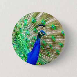 Peacock Plumage Ronde Button 5,7 Cm