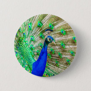 Peacock Plumage Ronde Button 5,7 Cm