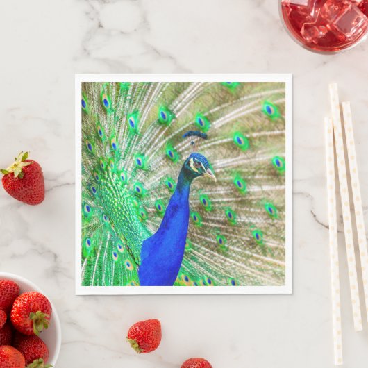Peacock Plumage Servet (Insitu)