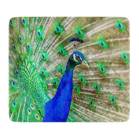 Peacock Plumage Snijplank (Voorkant)