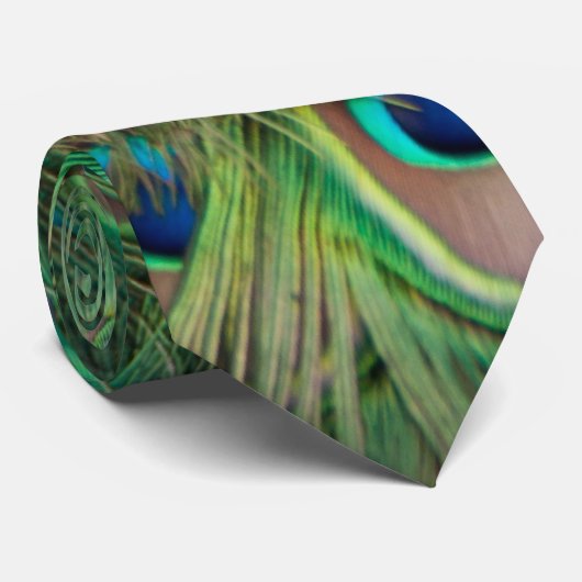 Peacock plumage stropdas (Opgerold)