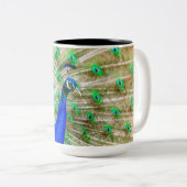 Peacock Plumage Tweekleurige Koffiemok (Voorkant rechts)