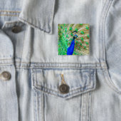 Peacock Plumage Vierkante Button 5,1 Cm (In situ)