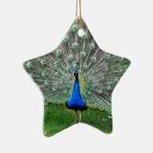 Peacock Plume Ornament (Rechts)