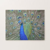 Peacock Plumes Puzzle Legpuzzel (Horizontaal)