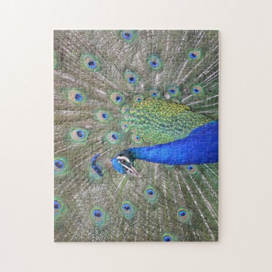 Peacock Plumes Puzzle Legpuzzel (Verticaal)