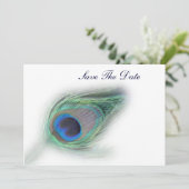 Peacock Plumes slaat de datum op Save The Date (Staand voorkant)