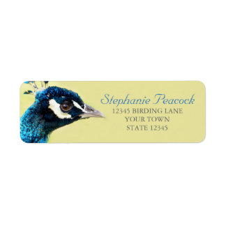 Peacock Portret Foto Retouradres Labels