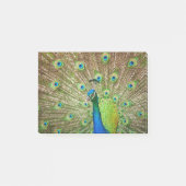 Peacock Post-it® Notes (Voorkant)