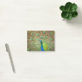 Peacock Post-it® Notes (Kantoor)