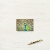 Peacock Post-it® Notes (Op bureau)