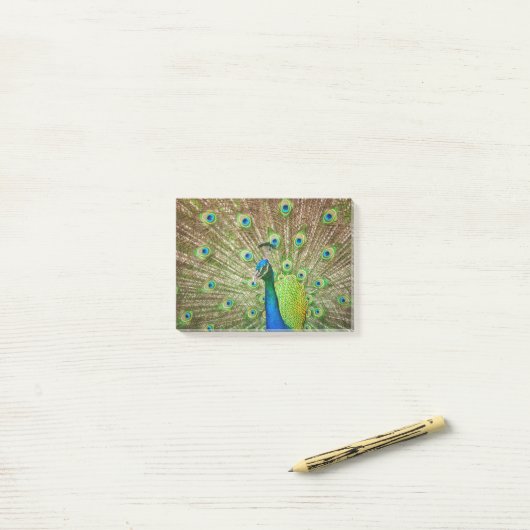 Peacock Post-it® Notes (Op bureau)