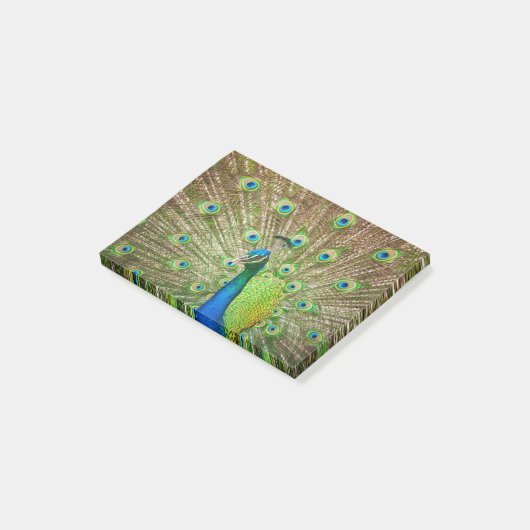 Peacock Post-it® Notes (Schuin)