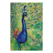 Peacock - Poster (Voorkant)