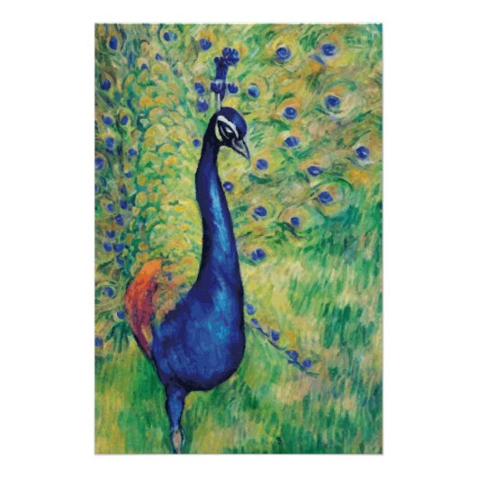 Peacock - Poster (Voorkant)