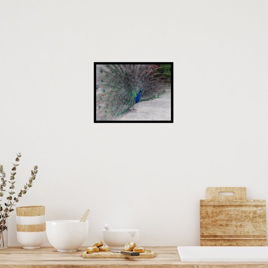 Peacock Poster (Keuken)