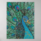 Peacock Poster (Voorkant)