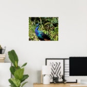 Peacock Poster (Thuiskantoor)