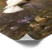  Peacock Poster (Hoek)