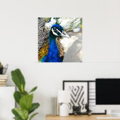 Peacock Poster (Thuiskantoor)