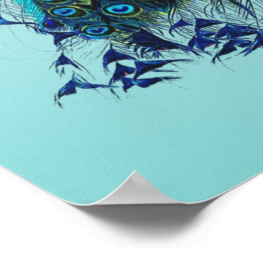  Peacock Poster (Hoek)