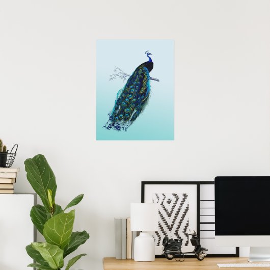  Peacock Poster (Thuiskantoor)