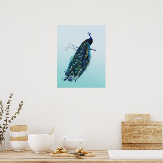  Peacock Poster (Keuken)