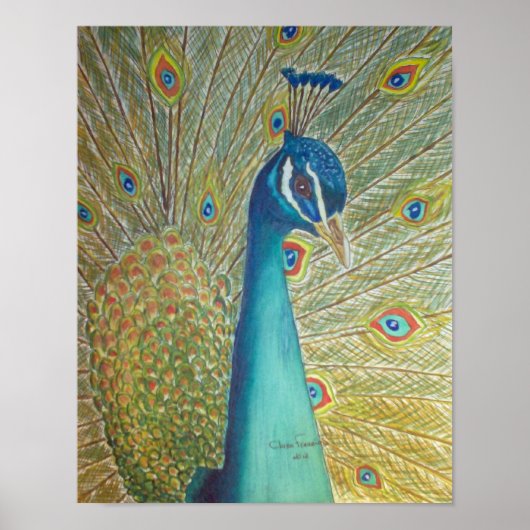 Peacock Poster (Voorkant)