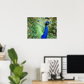 Peacock Poster (Thuiskantoor)