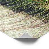 Peacock Poster (Hoek)