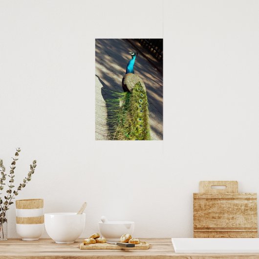 Peacock Poster (Keuken)