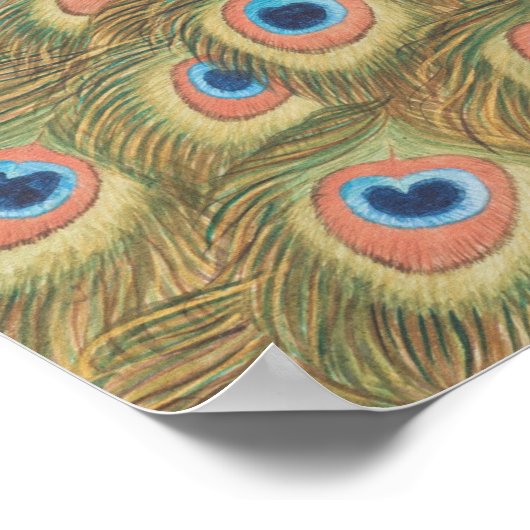 Peacock Poster (Hoek)