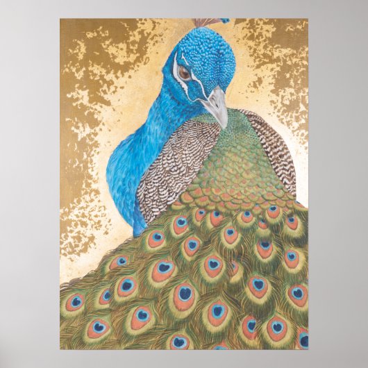 Peacock Poster (Voorkant)