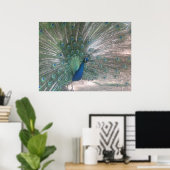 Peacock Poster (Thuiskantoor)