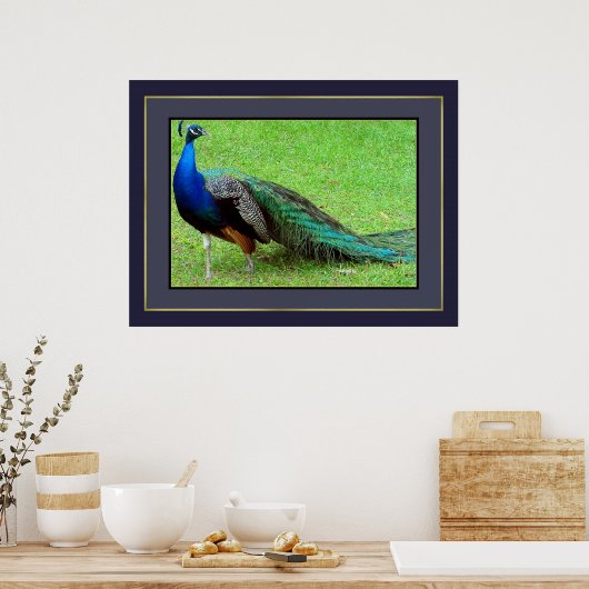 Peacock Poster (Keuken)