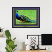 Peacock Poster (Thuiskantoor)