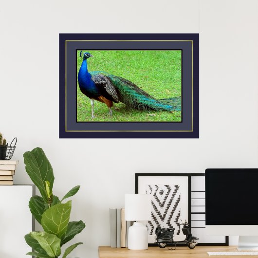 Peacock Poster (Thuiskantoor)