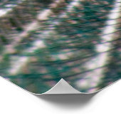 Peacock Poster (Hoek)