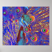 Peacock Poster (Voorkant)