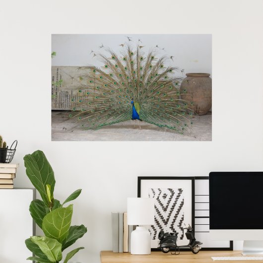 Peacock Poster (Thuiskantoor)