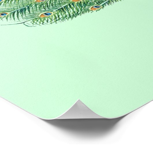  Peacock Poster (Hoek)