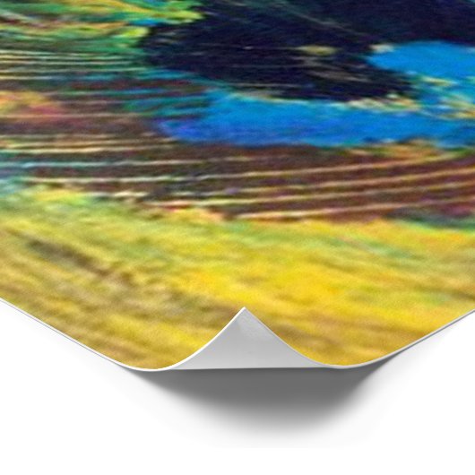 Peacock Poster (Hoek)