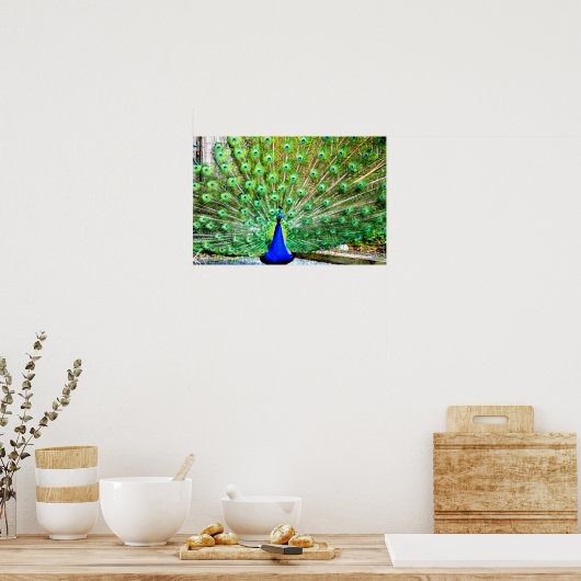 Peacock Poster (Keuken)